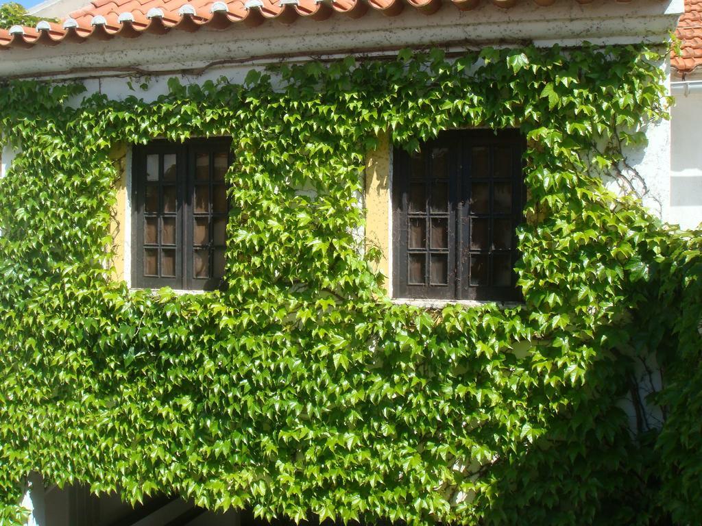 Rio Natural Vila Nova de Milfontes Exteriér fotografie